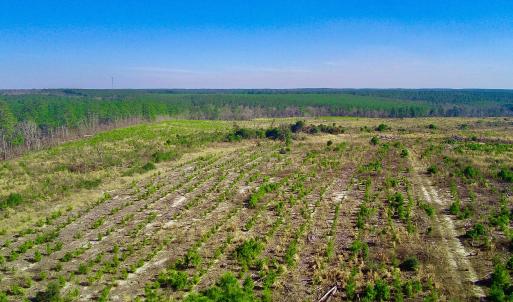 20250228143258200602000000-o