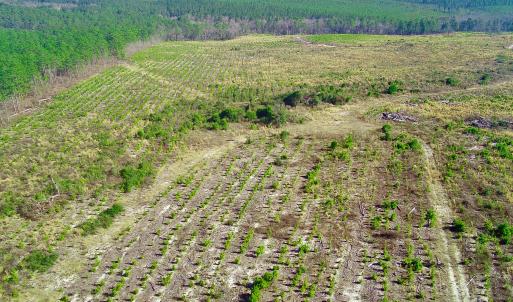 20250228143302332596000000-o