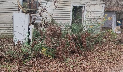 7657952722304283197 (1)