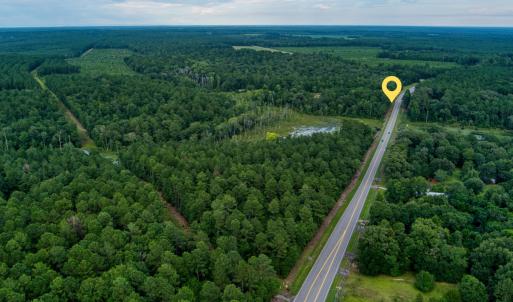 17_untitled design (1).png