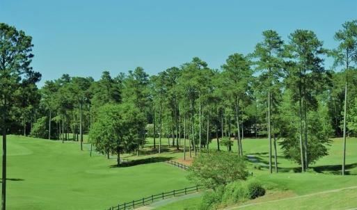 Photo #8 of L1 B47 Maxwell, McCormick, SC