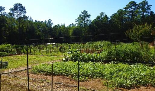 Photo #27 of L1 B47 Maxwell, McCormick, SC