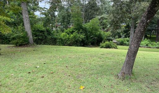 Few Trees