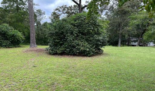 Natural Landscaping
