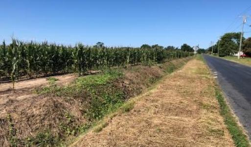 Photo #2 of FISHER RD, PARKSLEY, VA 50.0 acres
