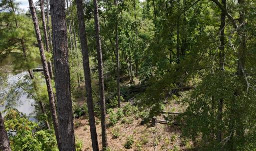 DJI_20250831133130_0374_D