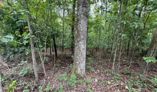 20250817191442874916000000-o