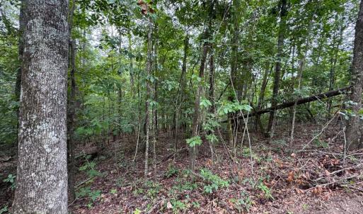 20250817191542650935000000-o