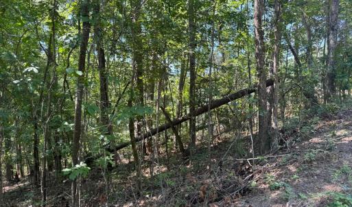 20250819000445988233000000-o