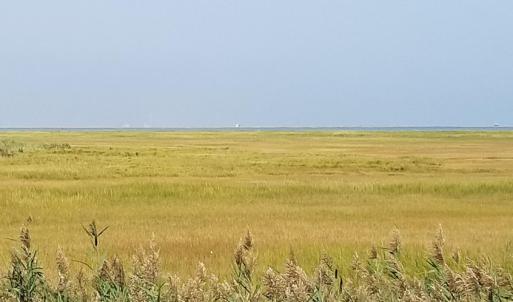 Looking across the marsh to the NASA launch pad