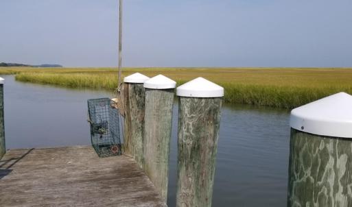 Time to go crabbing!