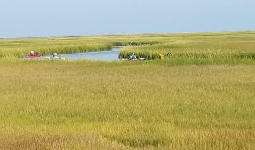 Enjoy the adventure and the wildlife