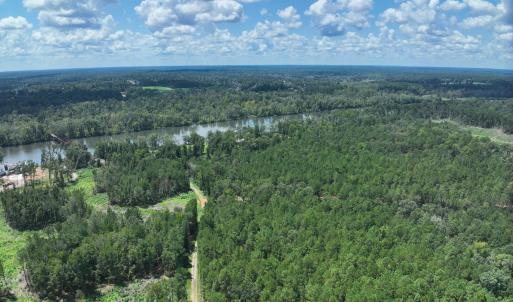 Plantation fury (26)