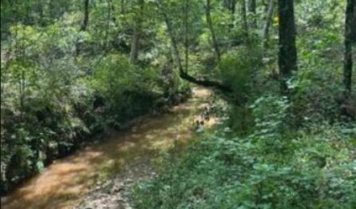 Screenshot 2025-08-19 091625