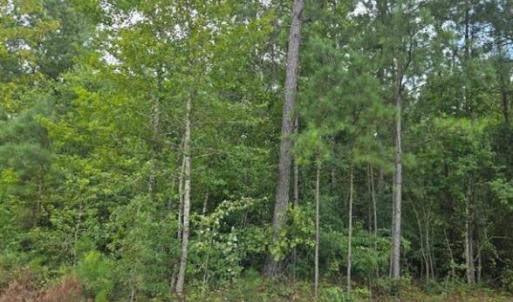 Screenshot 2025-08-19 091713