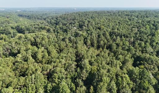 DJI_20250722103239_0257_D