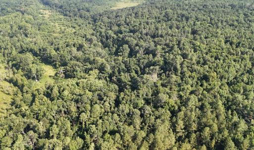 DJI_20250722103217_0256_D