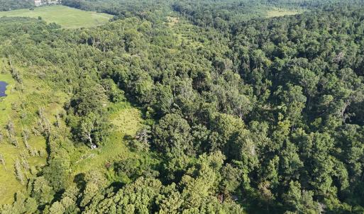 DJI_20250722102923_0245_D