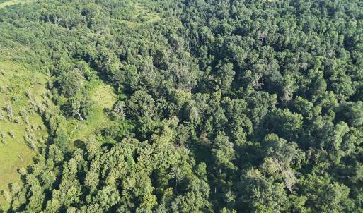 DJI_20250722103057_0252_D