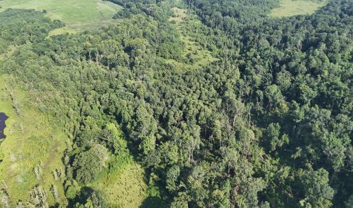 DJI_20250722103004_0248_D