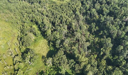 DJI_20250722102959_0247_D