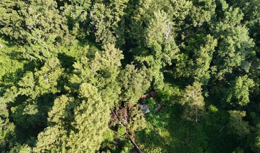 DJI_20250722103344_0262_D