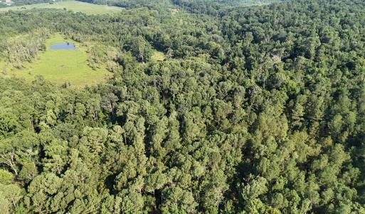 DJI_20250722102809_0243_D
