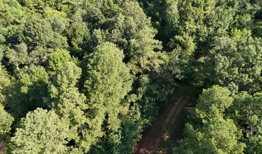 DJI_20250722103315_0259_D