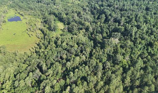 DJI_20250722103113_0253_D