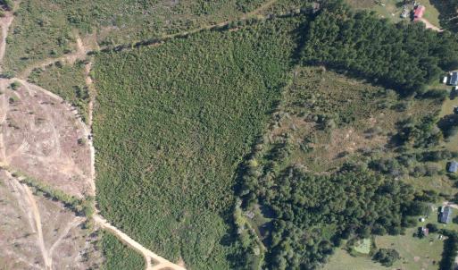 dji_fly_20251009_152704_720_176005345843