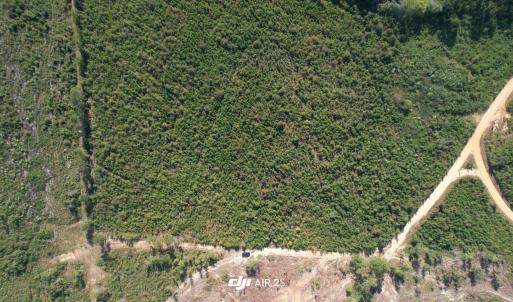 dji_export_20251009_194515_1760053515035