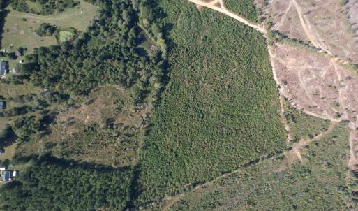 dji_fly_20251009_152802_723_176005342269