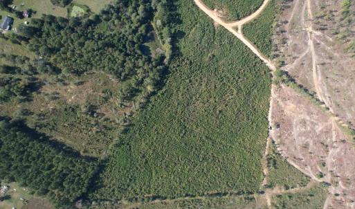 dji_fly_20251009_152722_721_176005344846