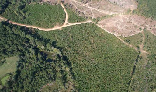 dji_fly_20251009_152930_725_176003848553