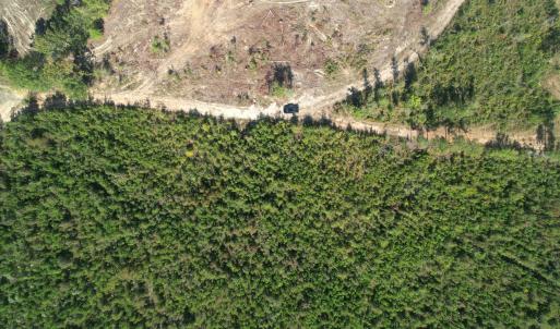 dji_fly_20251009_153018_726_176003847597