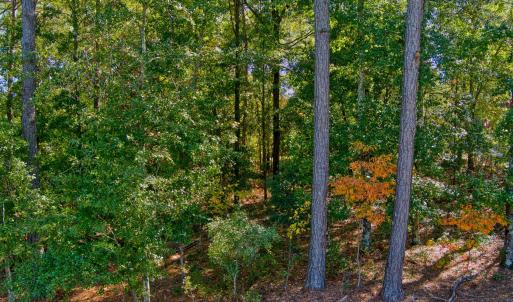 10_max_0360_hdr
