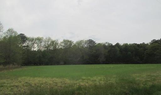 Photo #3 of 5205 SALTWORKS RD, EXMORE, VA 1.6 acres
