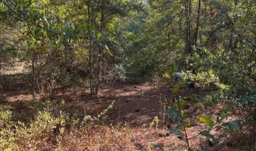 Screenshot 2025-10-20 105224