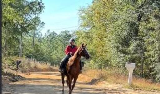 Screenshot 2025-10-20 105409