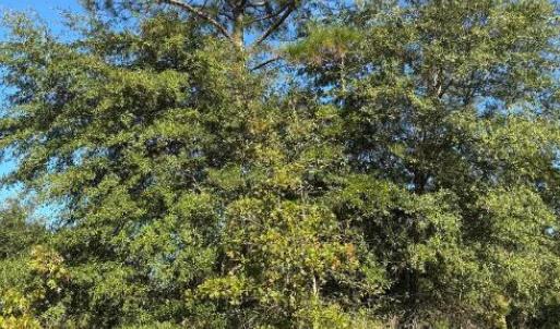 Screenshot 2025-10-20 105241