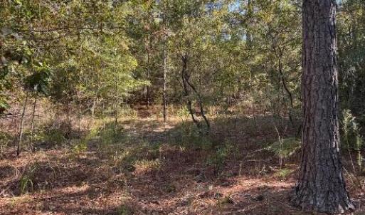 Screenshot 2025-10-20 105205