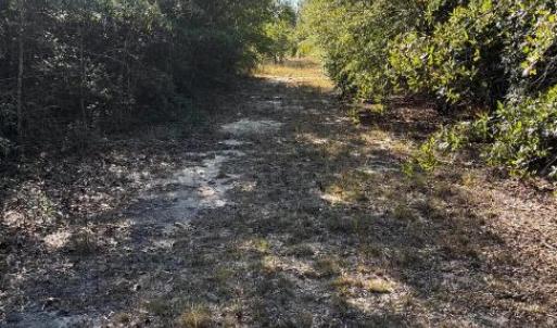 Screenshot 2025-10-20 105116