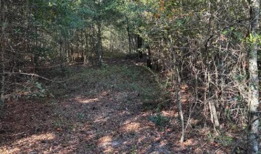 Screenshot 2025-10-20 105044