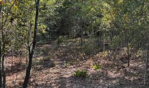 Screenshot 2025-10-20 105319