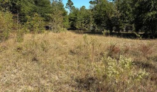 Screenshot 2025-10-20 105302