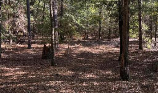 Screenshot 2025-10-20 105356