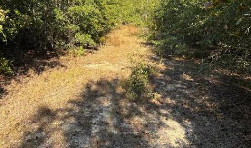 Screenshot 2025-10-20 105132