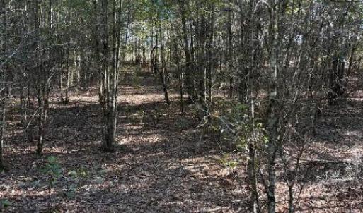 Screenshot 2025-10-20 105143