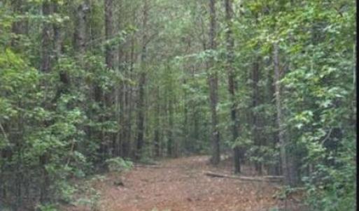 Screenshot 2025-08-19 091723