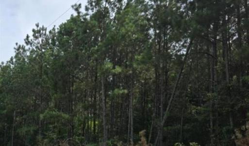 Screenshot 2025-08-19 091638